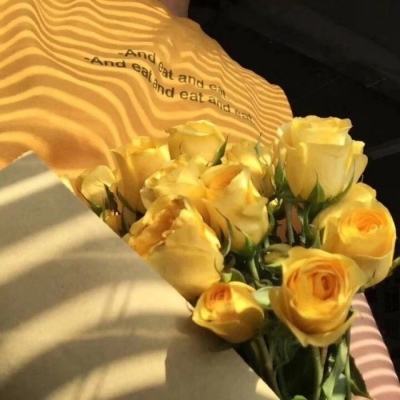 搜仙纪元手游bt版下载